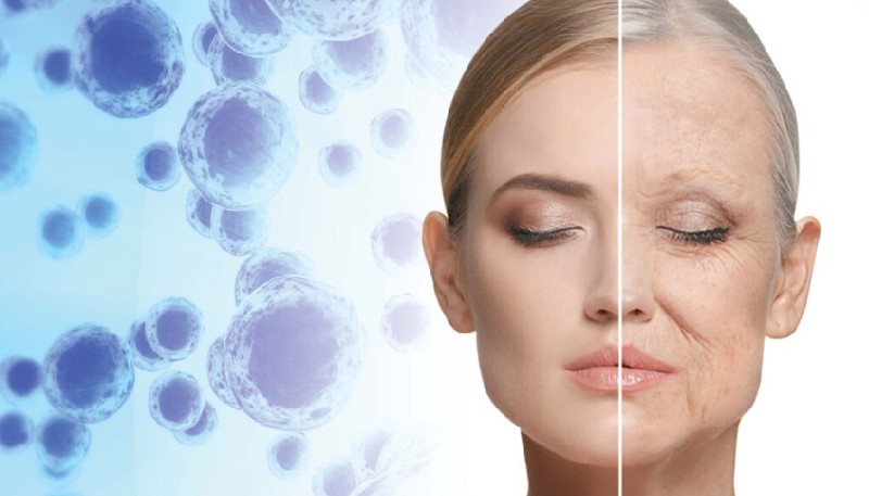 Stem Cell Treatment Protocols for Skin Rejuvenation